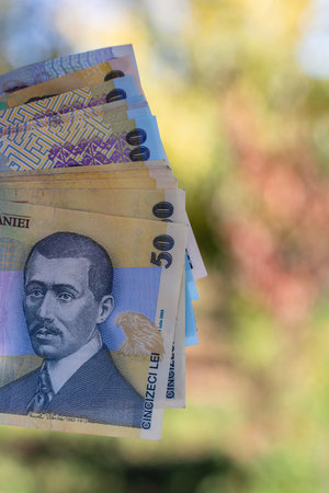 Romanian LEI Currency Banknote. RON Money Currencyの写真素材