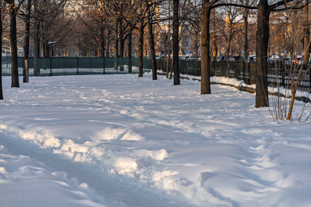 Scenic winter scene in the beautiful public park of Izvor in a  snowy winter morning. Izvor Park from downtown Bucharest, Romaniaの写真素材