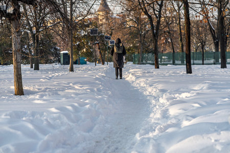 Scenic winter scene in the beautiful public park of Izvor in a  snowy winter morning. Izvor Park from downtown Bucharest, Romaniaの写真素材