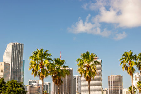 Miami, Florida downtown financial district. US city skyline and skyscrapersの写真素材