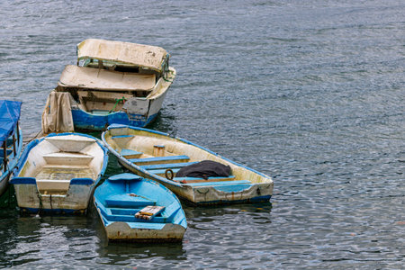 Artisanal fishing boats at the coast of Golfito. Costa Ricaの写真素材