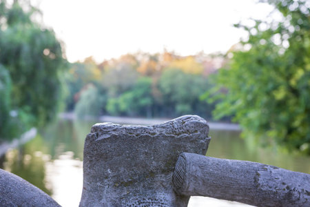Landscape with old green trees in Bucharest downtown parkの写真素材