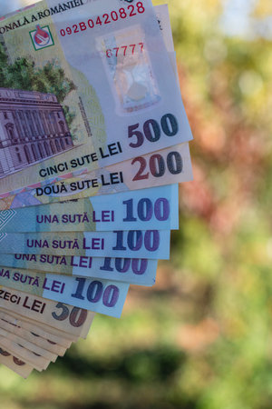 Romanian LEI Currency Banknote. RON Money Currencyの写真素材