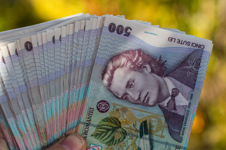Romanian LEI Currency Banknote. RON Money Currency