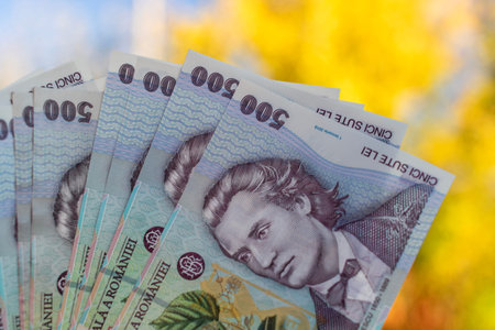 Romanian LEI Currency Banknote. RON Money Currency