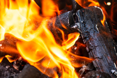 BBQ grill with burning wood and fire flames. Empty hot charcoal barbecue grill with bright flameの写真素材
