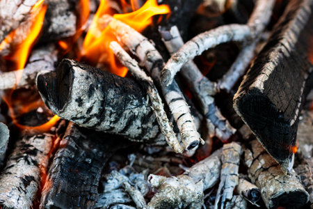 BBQ grill with burning wood and fire flames. Empty hot charcoal barbecue grill with bright flame