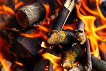 BBQ grill with burning wood and fire flames. Empty hot charcoal barbecue grill with bright flame