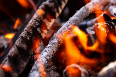 BBQ grill with burning wood and fire flames. Empty hot charcoal barbecue grill with bright flameの写真素材