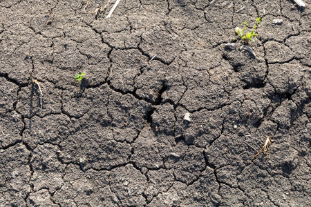 Global warming, Drought in the summer. Dark soil texture closeup of dry soil background
