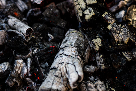 Grill with burning wood and fire flames. Empty hot charcoal barbecue grill with bright flame