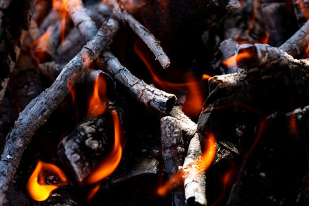 Grill with burning wood and fire flames. Empty hot charcoal barbecue grill with bright flame