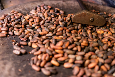 Local roasted cacao beans in El Salvador, Central America. Raw, peeled, and crushed cacao beans...