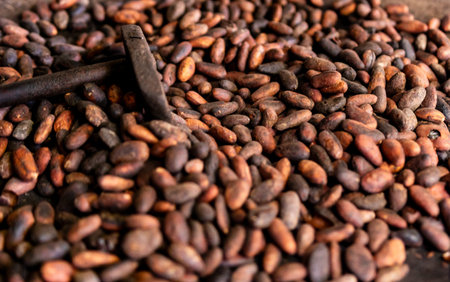 Local roasted cacao beans in El Salvador, Central America. Raw, peeled, and crushed cacao beans...