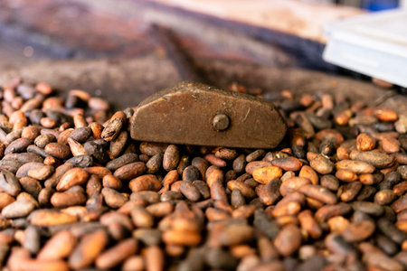 Local roasted cacao beans in El Salvador, Central America. Raw, peeled, and crushed cacao beans being roasted traditionally in El Salvadorの写真素材