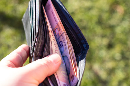 Man hand holding a wallet with Romanian LEI banknotes showing paper texture and symbols of Romanian...