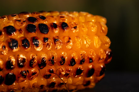 Fresh and delicious grilled sweet corn. Detail of tasty roasted corn cobsの写真素材