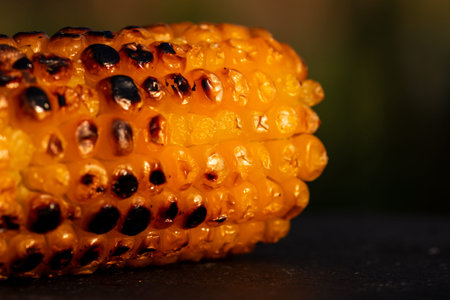 Fresh and delicious grilled sweet corn. Detail of tasty roasted corn cobsの写真素材