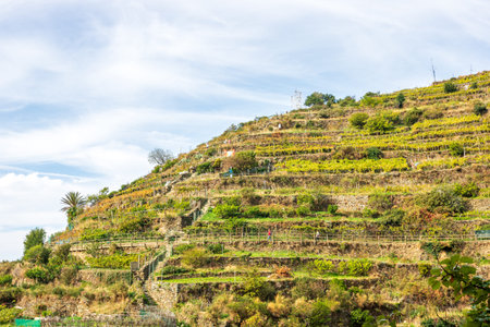Beautiful cliffside of Cinque Terre in Italy viewed from the seaの写真素材