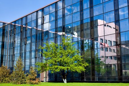 Blue abstract crop of modern office skyscraper and treeの写真素材
