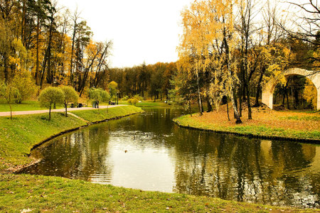 lake in autumn park