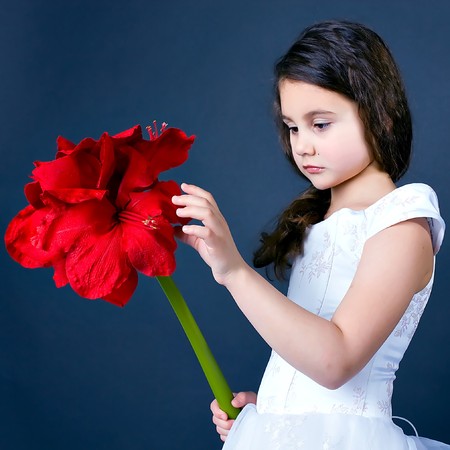 beautiful dreaming girl with bright red flowerの写真素材
