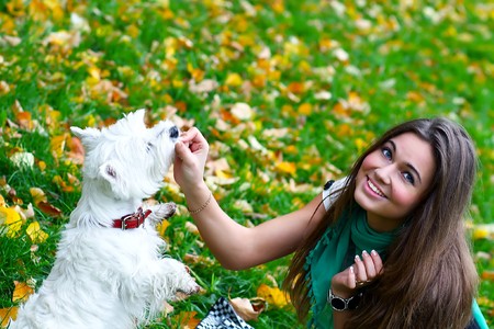 Young girl feeding her dogの写真素材