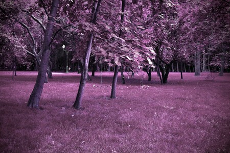 fairylandの写真素材