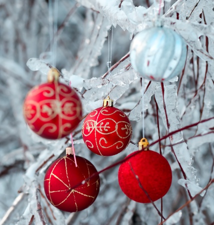 Beautiful Christmas backgroundの写真素材