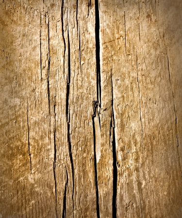Abstract background of an old wood messy and grungy textureの写真素材