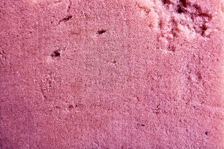 Abstract background of bath sponge textureの写真素材