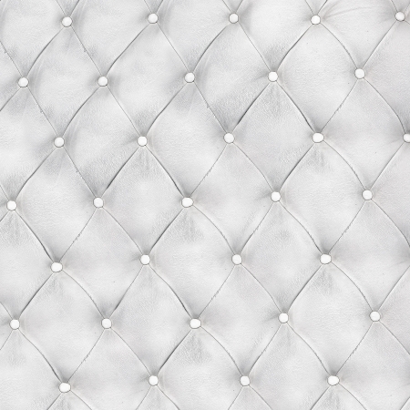 Luxury and modern style background with classic white and gray leather texture of an old retro door with metal buttonsの写真素材