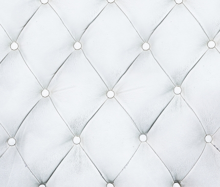 Luxury and modern style background with classic white and gray leather texture of an old retro door with metal buttonsの写真素材