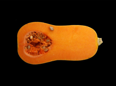 Stillife with a fresh pumpkin on black background