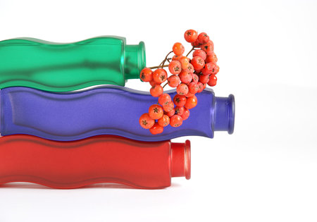 Still life with red natural rowan on a white background