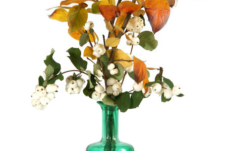 Autumn bouquet in a vase with colored glass on a white backgroundの写真素材