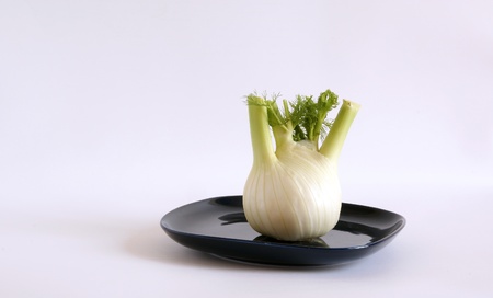 Large image of fresh fennel on a white backgroundの写真素材