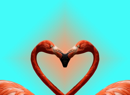 Postcard Valentine's Day with pink flamingos on the background of the heartの写真素材