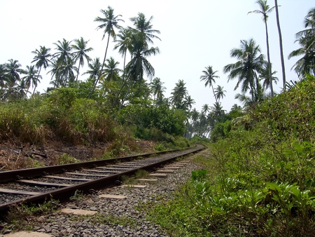 Island Sri Lanka (Ceylon), rails of the old railway in island jungle. の写真素材