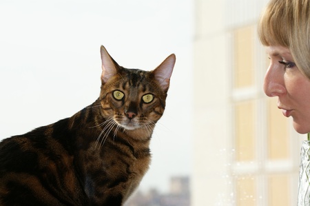 GIRL AND CATの写真素材