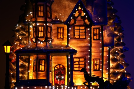 house decorated with lots of Christmas lights.のeditorial素材
