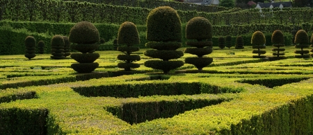 Ornamental gardens near castle of Villandry, Franceのeditorial素材