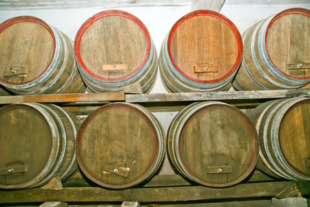 Oak barrels in which the wine matures at a winery