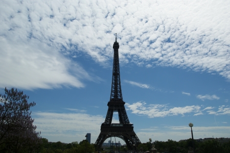 Eiffel Tower in Paris, France の写真素材