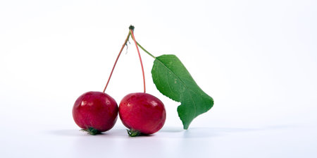 Still-life with fresh small red apples