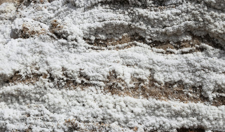 dead sea salt at Jordan 