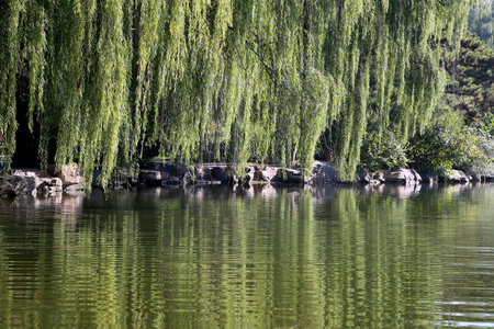Blue lake on a clear summer day (park in central Beijing, China)
