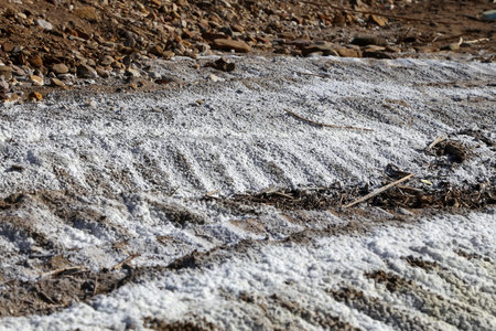 Salt crystallisation at coast of the Dead Sea, Jordan