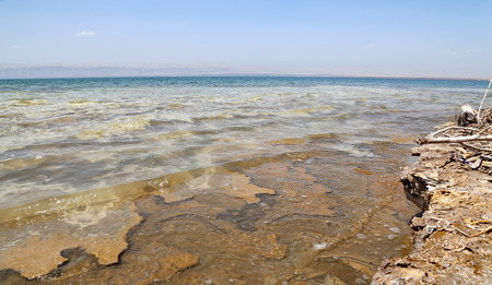 Dead sea coast at Jordan, Middle Eastの写真素材