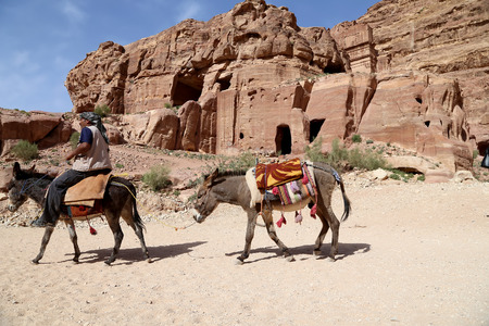 Bedouin men on Mules in Petra,  Jordanのeditorial素材